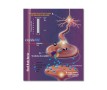 Healthy Neuron Brochure